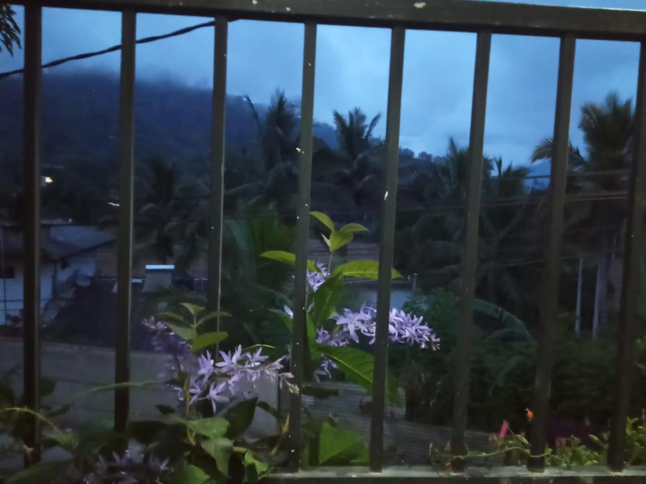 Wathsala Home Villa إيلا المظهر الخارجي الصورة